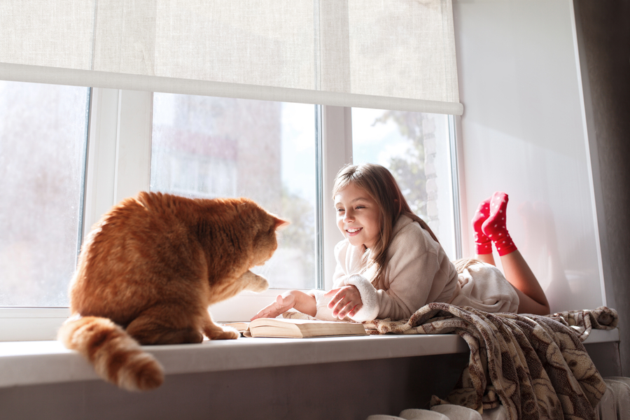 child and cat sit on a window box seat beneath partially drawn motorized shades