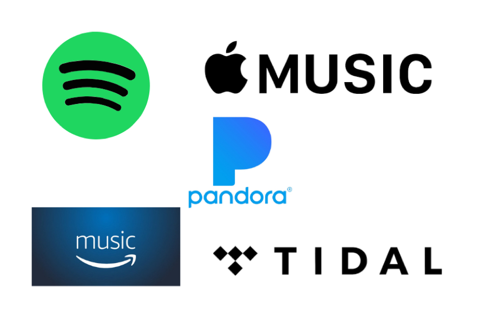 Here Are the Most Popular Music Streaming Services for Whole Home Audio